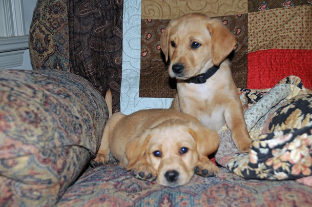 1913 03 15 5692 edited-1