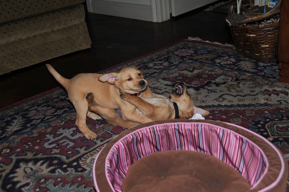 1970 02 01 5701 edited-1