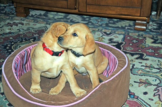 1970 02 03_5681_edited-1