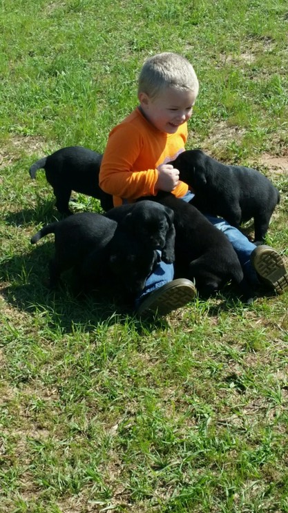 PART951430669671647952015032895103601[1]