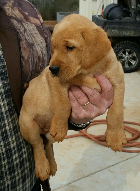 PART951430669842538952015020395095252-1