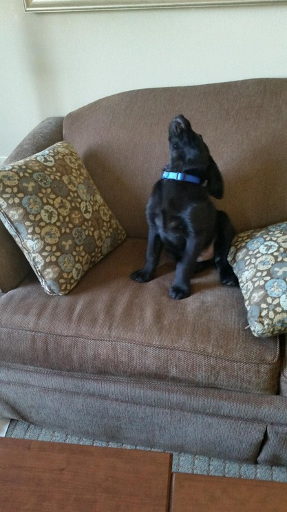 PART_1430669576874_20150502_161538