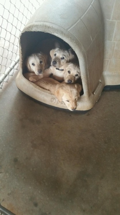 PART_1430669736982_20150224_111604