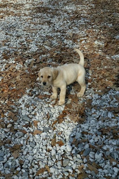 PART_1430669891279_20150120_144027-1