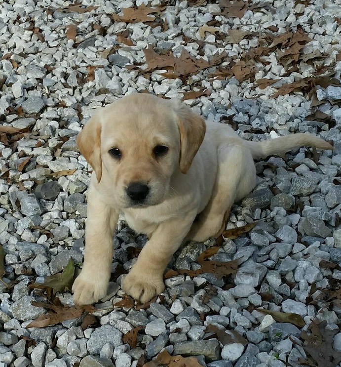 PART_1430669915769_20150120_143945-1